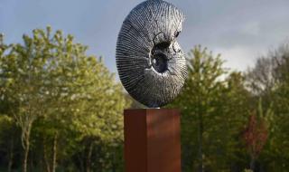 浙江不锈钢 浙江不锈钢